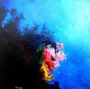 gorgonia, oleo